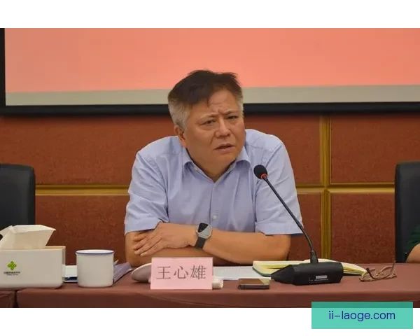 阿彻孤身奋战谢菲联锋线攻坚困难显现问题突出